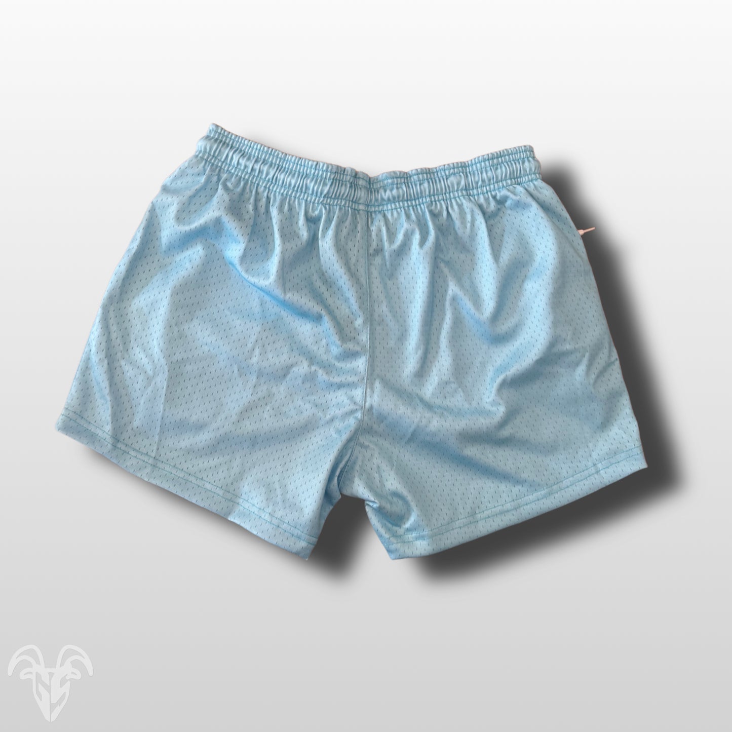 Goat Strength Sky Blue Mesh Athletic Shorts – 5” Inseam with Zipper Pockets