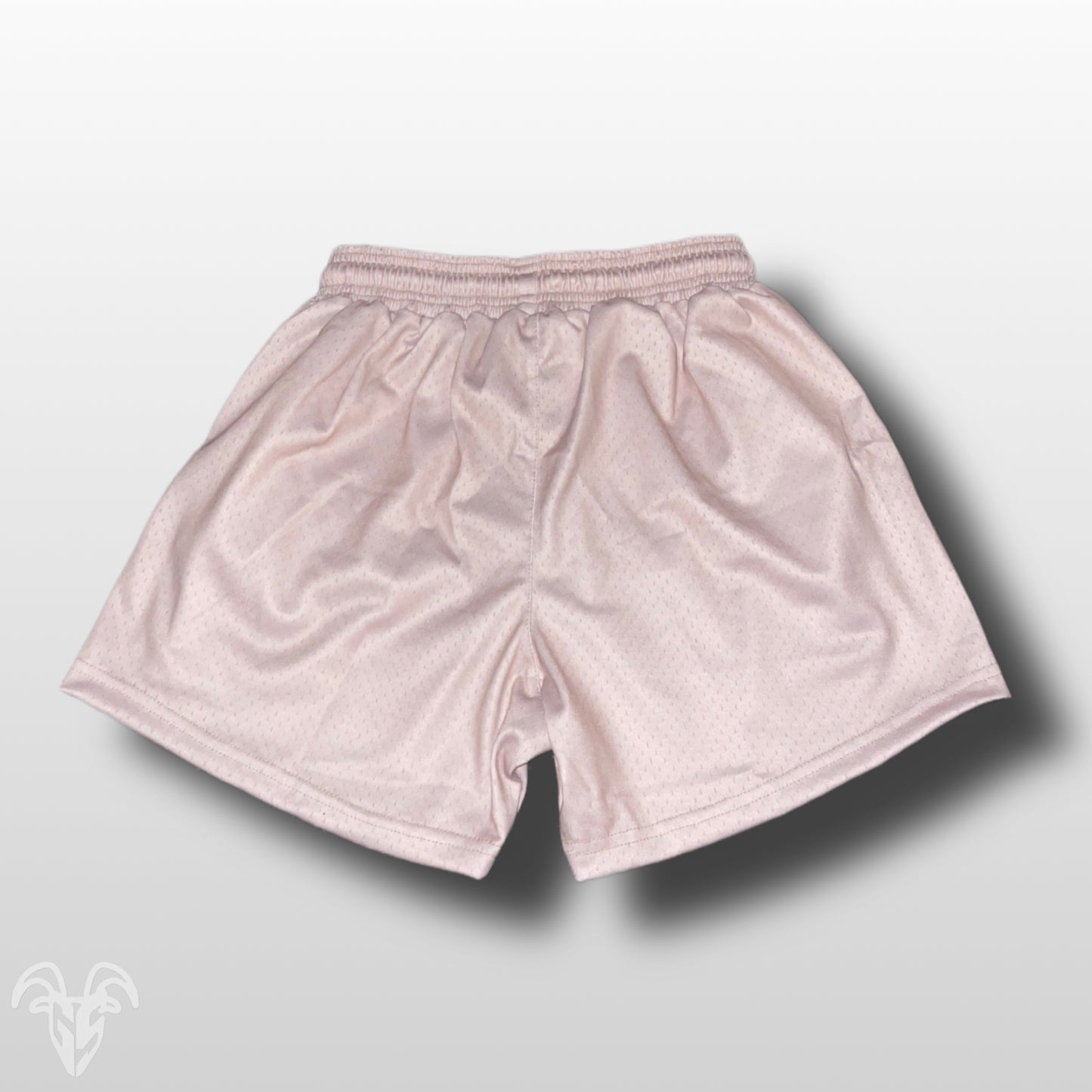 Tan / Beige 5 Inch Mesh Shorts - Gym Shorts With Zippers