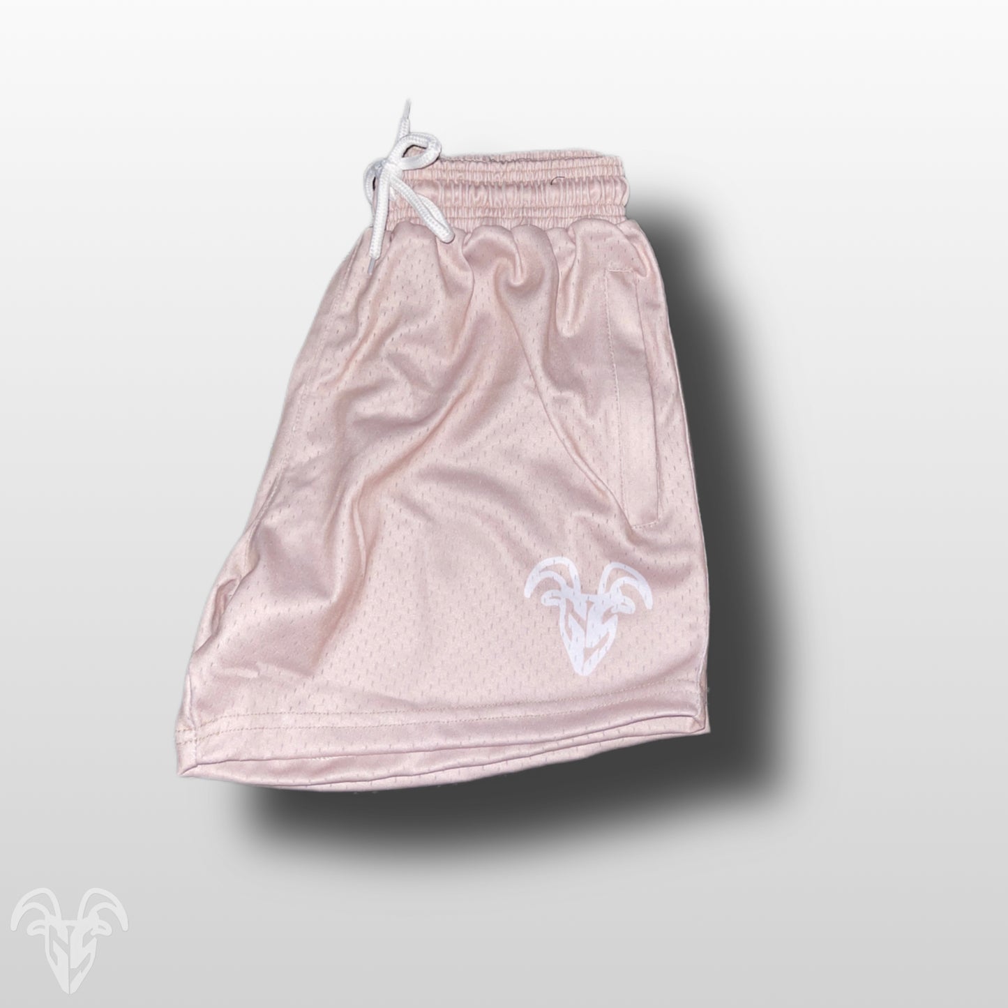 Tan / Beige 5 Inch Mesh Shorts - Gym Shorts With Zippers